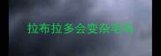 拉布拉多会变杂毛吗