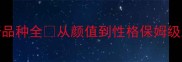 阿拉斯加雪橇犬vs哈士奇品种全从颜值到性格保姆级对比攻略新手养狗必看