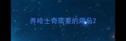 养哈士奇需要的用品