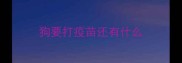 狗要打疫苗还有什么