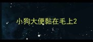 小狗大便黏在毛上