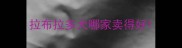 拉布拉多犬哪家卖得好