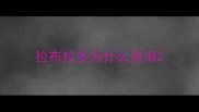 拉布拉多为什么流泪