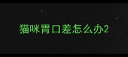 猫咪胃口差怎么办