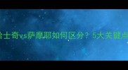 宠物犬选择指南哈士奇vs萨摩耶如何区分5大关键点及饲养要点全指南