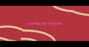 小拉布拉多吃不吃的肉