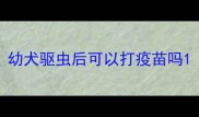 幼犬驱虫后可以打疫苗吗