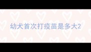 幼犬首次打疫苗是多大