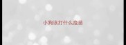小狗该打什么疫苗