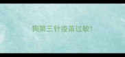 狗第三针疫苗过敏