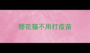 狸花猫不用打疫苗