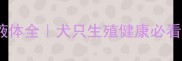 哈士奇生殖器黄色液体全犬只生殖健康必看指南附急救方案