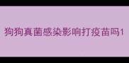 狗狗真菌感染影响打疫苗吗