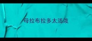 母拉布拉多太活泼