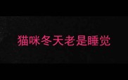 猫咪冬天老是睡觉