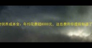哈士奇饲养成本全年均花费超8000元这些费用你提前知道了吗