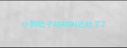 小狗肚子咕咕叫还吐了