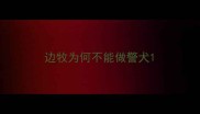 边牧为何不能做警犬