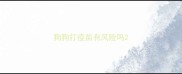 狗狗打疫苗有风险吗