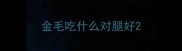 金毛吃什么对腿好