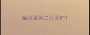 猫疫苗第二针超时