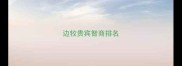 边牧贵宾智商排名