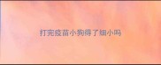 打完疫苗小狗得了细小吗