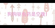狗狗驱虫药是空腹