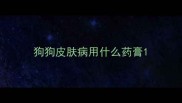 狗狗皮肤病用什么药膏