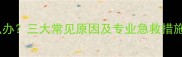 猫咪频繁抽搐怎么办三大常见原因及专业急救措施附预防指南