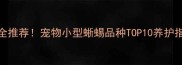 最全推荐宠物小型蜥蜴品种TOP10养护指南