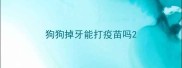 狗狗掉牙能打疫苗吗