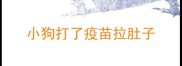 小狗打了疫苗拉肚子