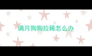 满月狗狗拉稀怎么办