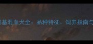 哈士奇柯基混血犬全品种特征饲养指南与市场行情