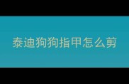 泰迪狗狗指甲怎么剪