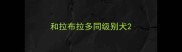 和拉布拉多同级别犬