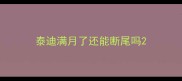 泰迪满月了还能断尾吗