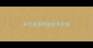 未打疫苗的边牧多少钱