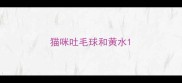 猫咪吐毛球和黄水
