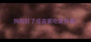 狗狗打了疫苗要吃营养膏