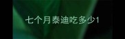 七个月泰迪吃多少