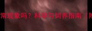 拉布拉多幼犬鼻子长是正常现象吗科学与饲养指南附健康隐患与护理方案