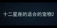 十二星座的适合的宠物