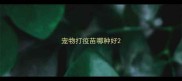 宠物打疫苗哪种好