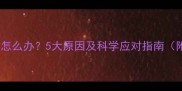 狗狗不爱喝水尿黄怎么办5大原因及科学应对指南附日常护理要点