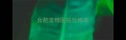 合肥宠物医院价格表