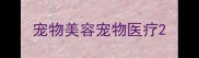 宠物美容宠物医疗