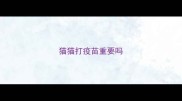 猫猫打疫苗重要吗