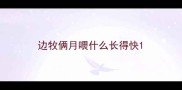 边牧俩月喂什么长得快